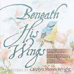 Beneath His Wings Inspirational book